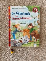 Erstlesebuch Das Geheimnis des Mammut-Amuletts Schleswig-Holstein - Lübeck Vorschau