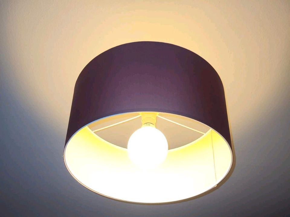 Hänge Deckenlampe Lampenschirm in Dortmund