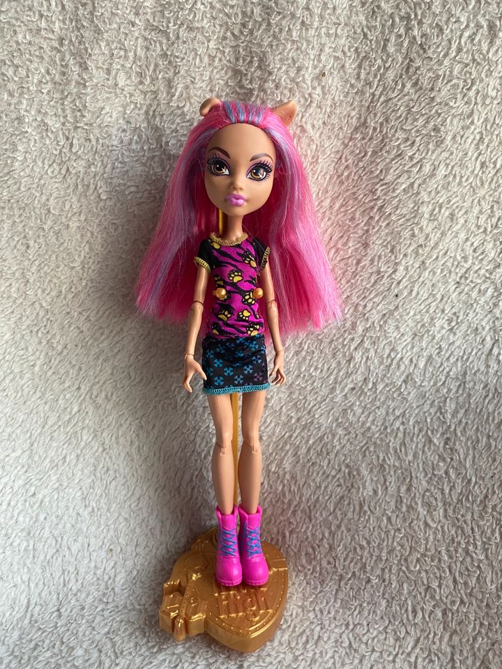 Monster High & Ever after High Puppen in Bad Münder am Deister