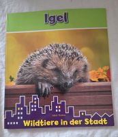 Igel Broschüre, Wildtiere in der Stadt Baden-Württemberg - Rheinfelden (Baden) Vorschau