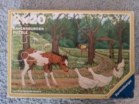 Ravensburger Puzzle 2x 20 Teile Pferde Fohlen Gans See Nordrhein-Westfalen - Ratingen Vorschau