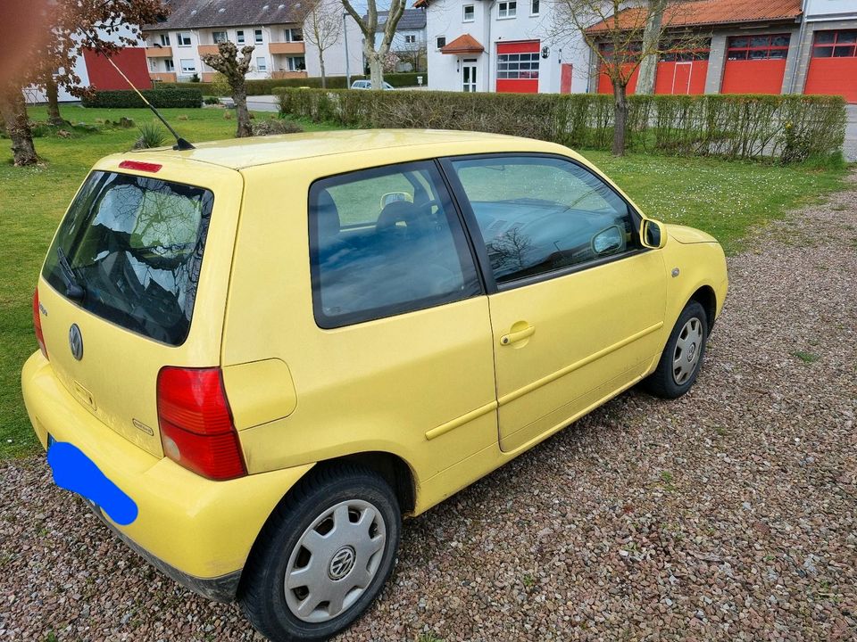 VW Lupo 1.0 College in Borgentreich