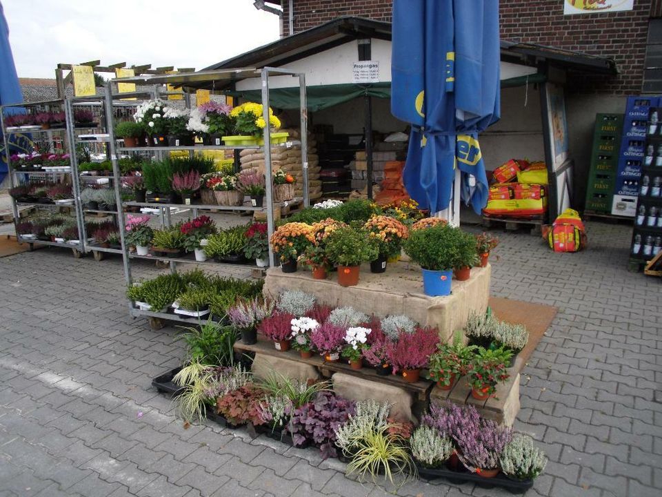 Guter Mutterboden mit Humus ab 30,00 €/t in Dortmund