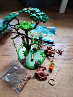 Playmobil 70345 Orang Utans im Baum Nordrhein-Westfalen - Bad Berleburg Vorschau