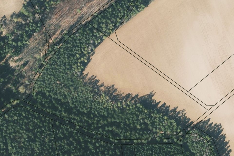 Verkaufe 3,07 ha Acker & Wald in 07407 Teichel (SLF) Thüringen in Uhlstädt-Kirchhasel