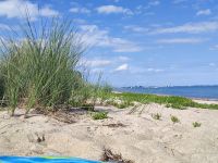 Ostsee Ferienhaus am Meer 150 Meter zum Strand Ferienwohnung ☀️☀️ Schleswig-Holstein - Neukirchen (bei Oldenburg in Holstein) Vorschau