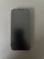 iPhone 13 Pro Max Graphite 256 GB Hessen - Felsberg Vorschau