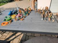 49 Tiere - u. a. Schleich - Dino Dinosaurier Bayern - Kammeltal Vorschau