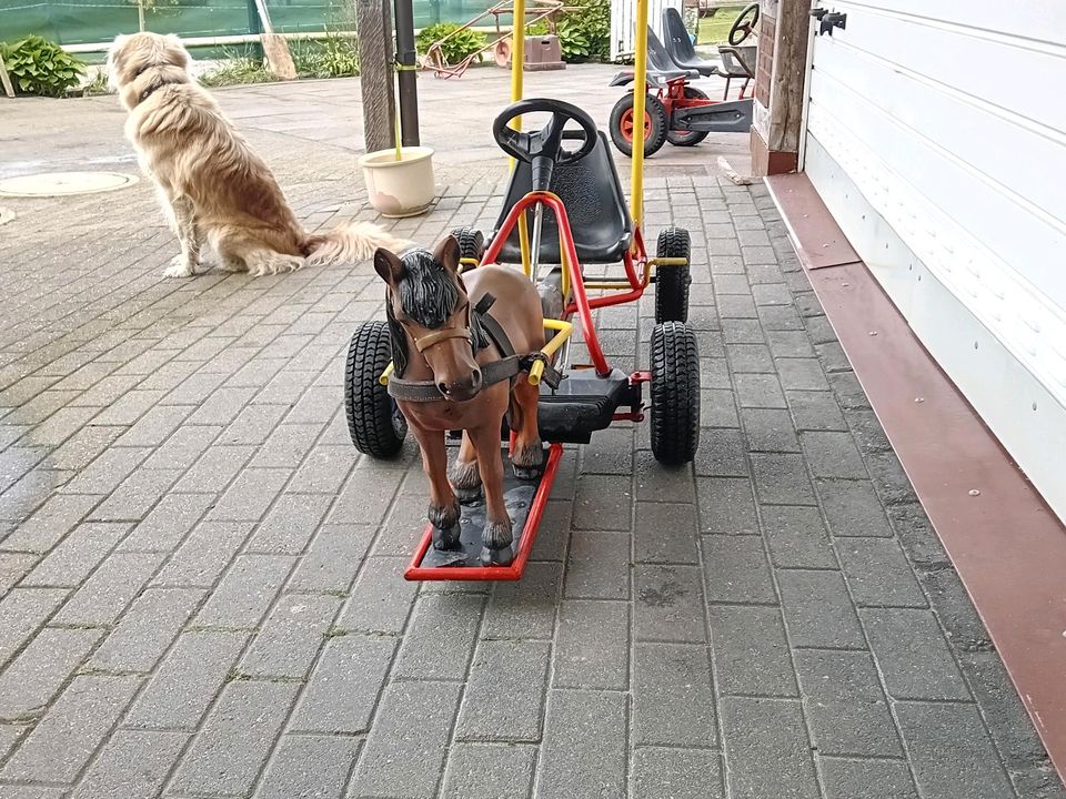 Gokart mit Pony in Osterholz-Scharmbeck