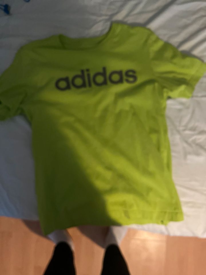 Adidas t-Shirt in Bernsdorf