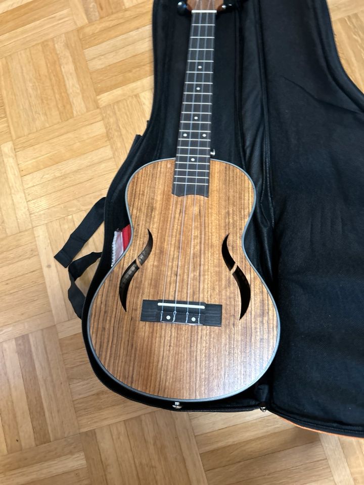 Ukulele mit Tasche, Zubehör, Stimmgerät, Gürtel und Reinigung in Wolnzach