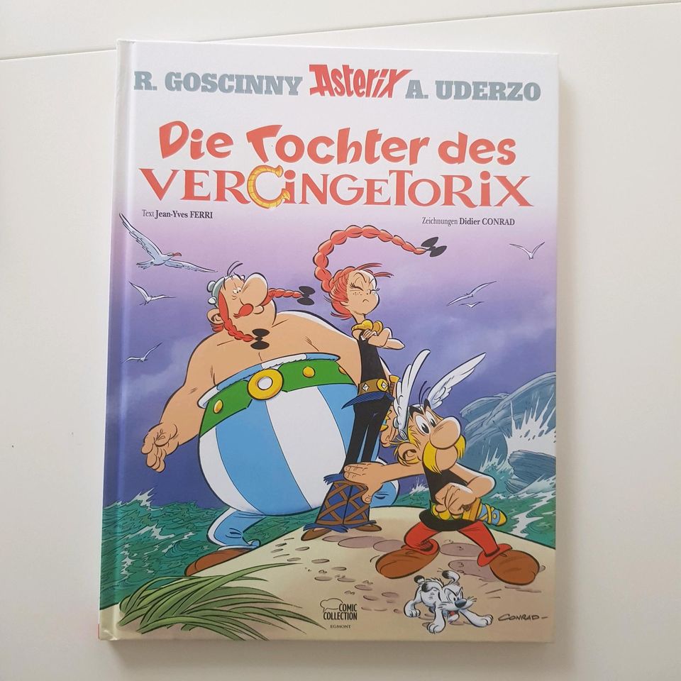 Asterix ,Die Tochter des Vercingetorix, gebundene Ausgabe in Neustadt an der Weinstraße
