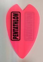 Darts Flights Pentathlon rosa, Form: 353 Rheinland-Pfalz - Wallmenroth Vorschau