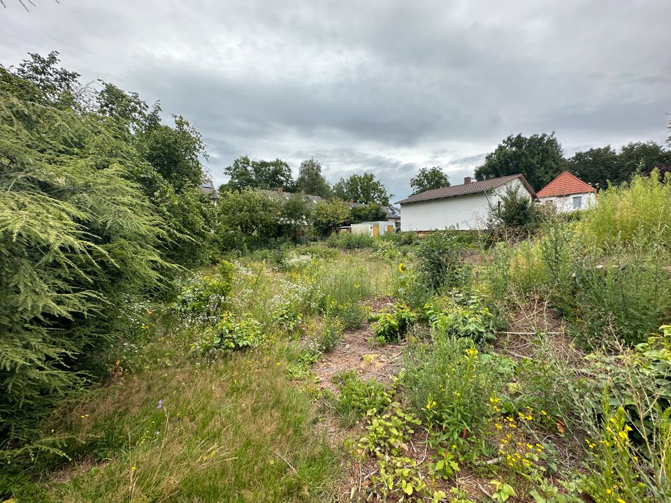 Exklusives Baugrundstück mit ca. 950 m² in Berlin-Hermsdorf und unmittelbarer "Tegeler Forst" Nähe in Berlin