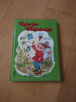 Kinderbuch Reise ins Wichtelreich in Schreibschrift Versand 2,75 Bayern - Dittenheim Vorschau