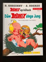 Asterix op kölsch - Dem Asterix singe Jung - kostenloser Versand Nordrhein-Westfalen - Bergisch Gladbach Vorschau