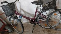 Damenrad  Damenfahrrad 28" Nordrhein-Westfalen - Finnentrop Vorschau