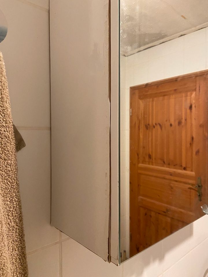 Spiegelschrank mit 2 Türen Badezimmerspiegel in Groß-Umstadt