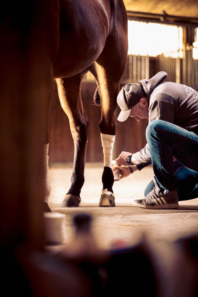 Westernreiten, Training, Beritt, Reining, Ausbildung in Ellerhoop