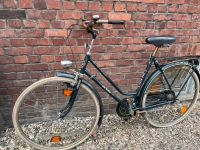 Den Haag Damen Hollandrad blau Vintage 28 Zoll Eimsbüttel - Hamburg Eimsbüttel (Stadtteil) Vorschau