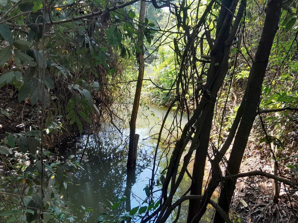 Grundstück in Kambodscha mit Ressort am Flussufer in Bönningstedt