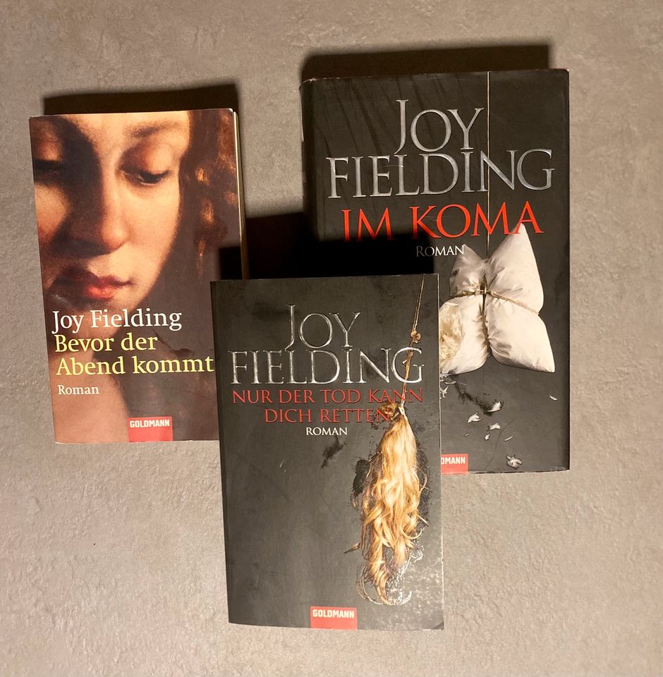 Joy Fielding - Im Koma in Eisfeld