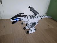 Kool Tech Roboter Dino, Dinosaurier mit Fernbedienung Hessen - Riedstadt Vorschau