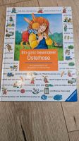 Kinderbuch ein ganz besonderer Osterhase Bayern - Karlshuld Vorschau