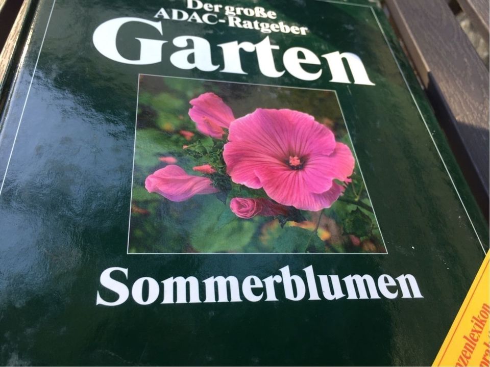 Der große ADAC Ratgeber Garten Sommerblumen in Jena