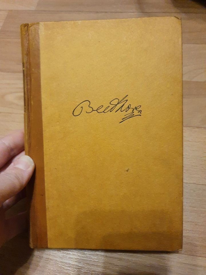 Buch Leopold Schmidt Beethoven Werke und Leben 1924 in Halle