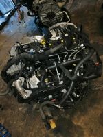 Motor Opel B16DTH B16DTL Insignia Astra Zafira bj2017 Komplett Rheinland-Pfalz - Mainz Vorschau