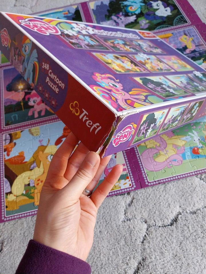 My little Pony Cartoon Puzzle in Wildau