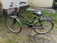 gebrauchtes Damenfahrrad Giant Nordrhein-Westfalen - Windeck Vorschau