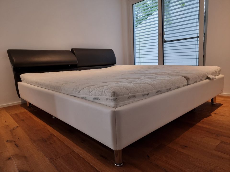 Designer-Bett in Leonberg