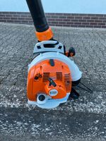 STIHL BR 450 C-EF Rheinland-Pfalz - Spall Vorschau