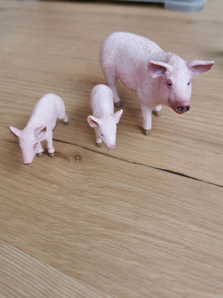 Schleich Schwein Ferkel in Harrislee