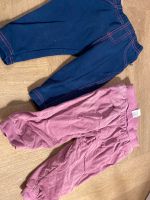 2 Hose Jogginganzug H&M 74 Niedersachsen - Duderstadt Vorschau