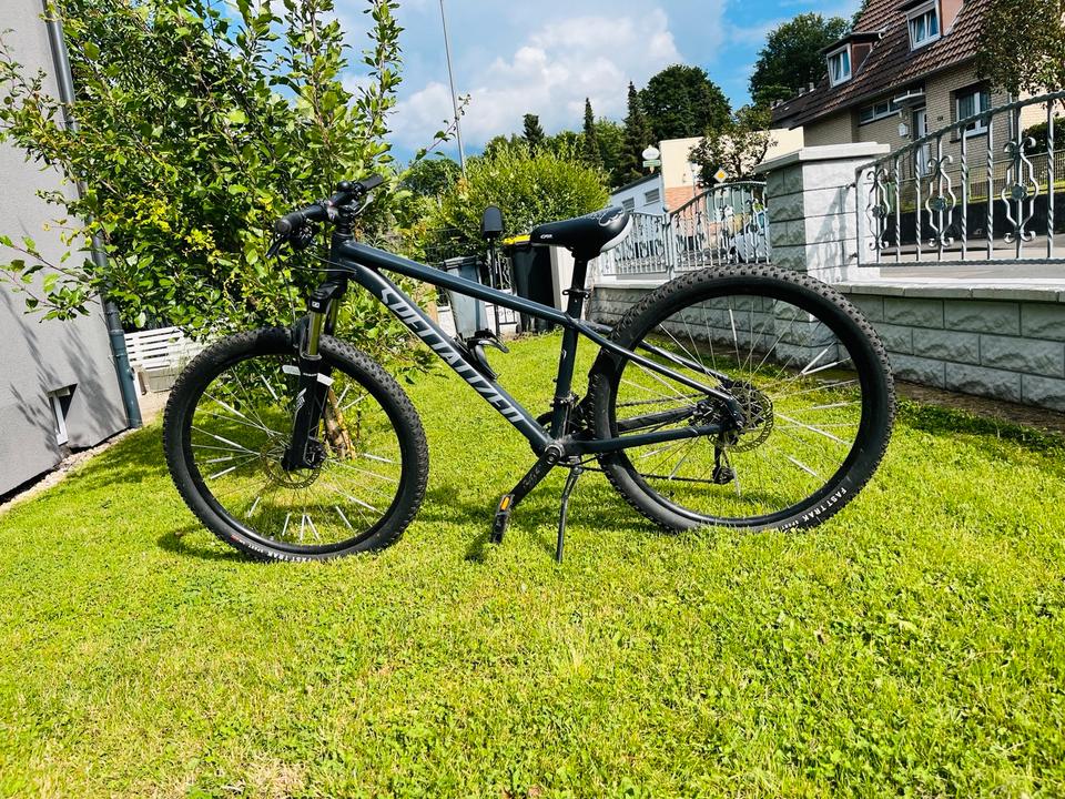 Specialized Fahrrad Rockhopper Sport 27,5 M mit Rechnung‘23 in Kassel