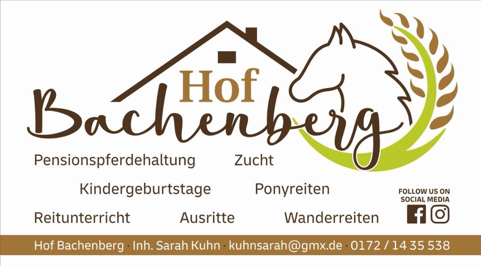 Family -Ride, Eltern- Kind- Ausritt, Mutter - Kind Reiten! in Altenkirchen