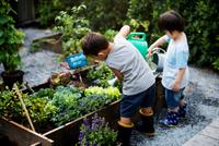 Pädagogische Fachkraft  (m/w/d) Kinderkrippe Baaderstraße München - Ludwigsvorstadt-Isarvorstadt Vorschau
