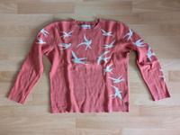 EDC Pulli in Gr. S Hessen - Gießen Vorschau