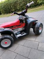 Kinderquad elektrisch Bayern - Traunreut Vorschau