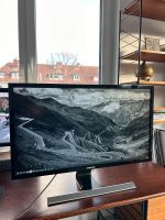 Samsung 28 Zoll Monitor UHD U28E590D Computer Bildschirm Münster (Westfalen) - Centrum Vorschau