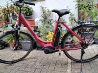 Pedelek (E bike)zu verkaufen Baden-Württemberg - Neuried Vorschau