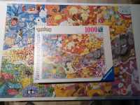 1000 Puzzle Hessen - Borken Vorschau