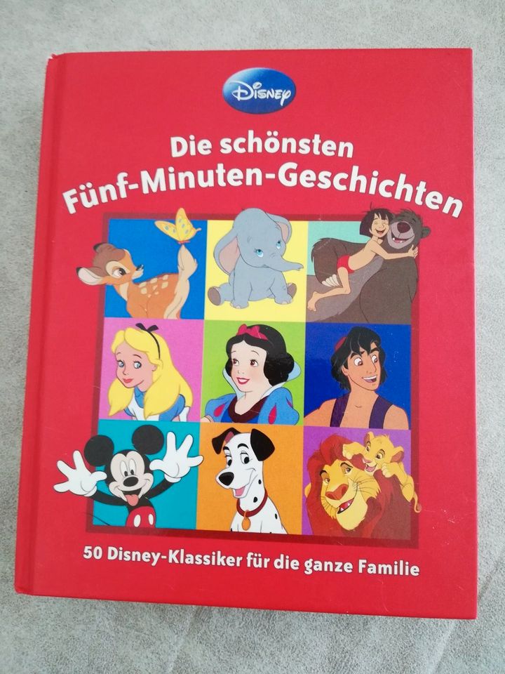 Kinderbuch "Die schönsten Fünf-Minuten-Geschichten" Disney in Wilnsdorf