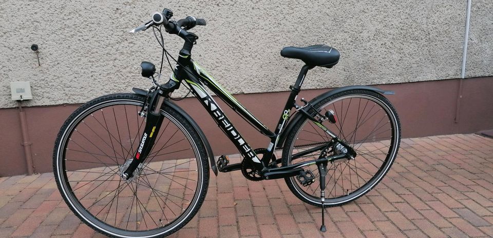 Damenfahrrad 28 zoll in Luckenwalde