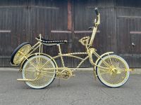 Neues Lowrider Fahrrad aus Los Angeles Chemnitz - Schloßchemnitz Vorschau