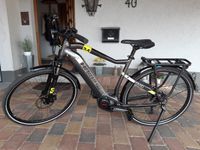 Trekking E Bike Haibike S Duro 2.5 Rheinland-Pfalz - Igel Vorschau