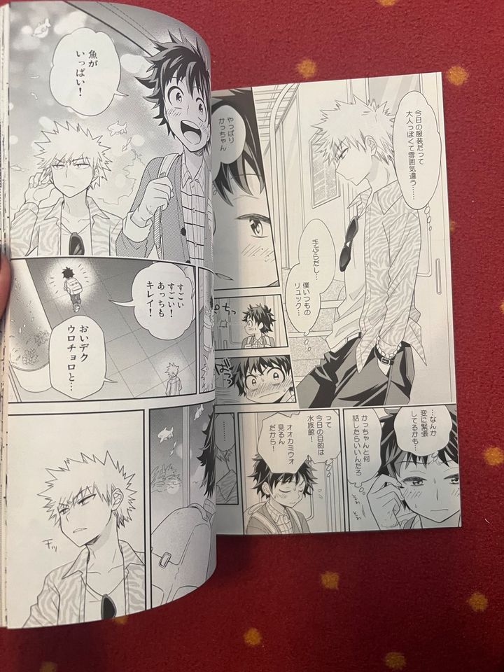 My Hero Academia Doujinshi Katsuki/Izuku Anime Manga R18  yaoi in Mainhardt